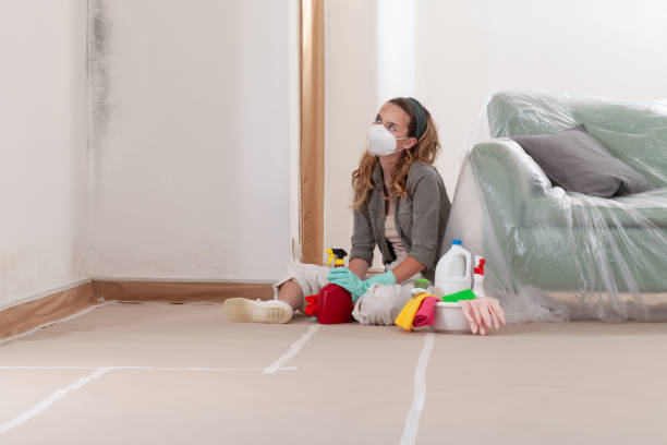 Reliable Mold Remediation contractor in Florence, TX by Cheap Mold Removal
